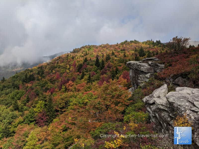 Gorgeous fall foliage along the Rough Ridge overlook on the Blue Ridge Parkway in Western North Carolina 