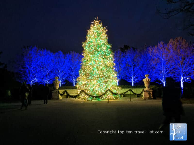 Breathtaking Christmas tree at Longwood Gardens