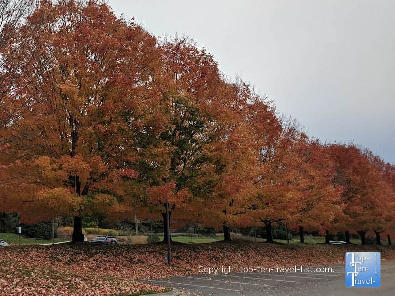 Autumn at the North Carolina Arboretum