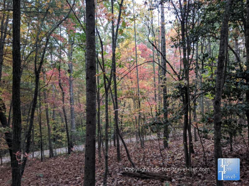 Leaf peeping at the North Carolina Arboretum in Asheivlle