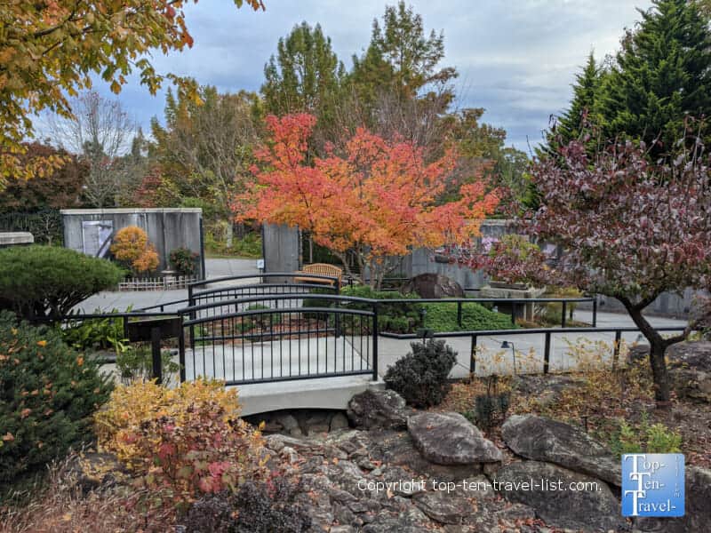 Fall scene in the Bonsai garden at the North Carolina Arboretum