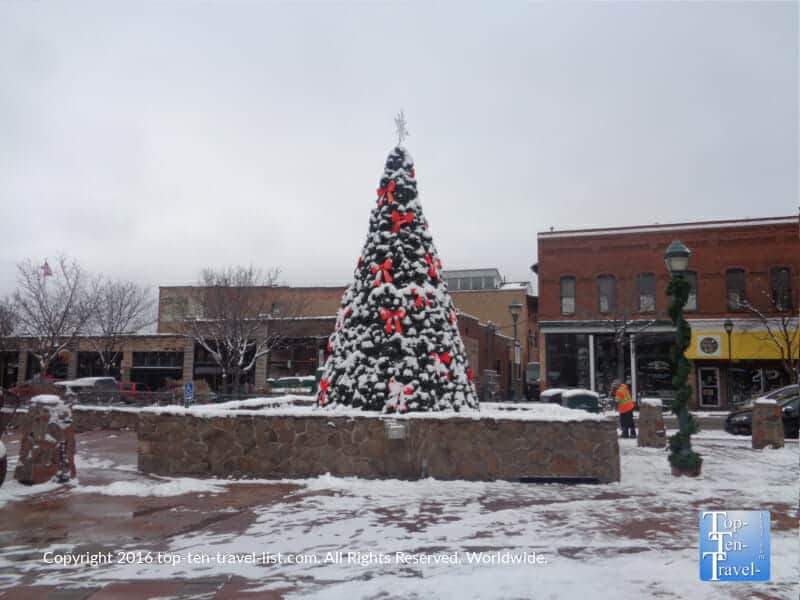 Christmas tree covered in snow in Flagstaff