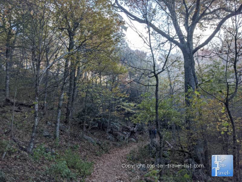 Cold and overcast day hiking the Mount Pisgah trail on the Blue Ridge Parkway in North Carolina