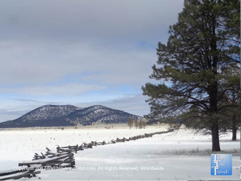 Mountain scenery at Kendrick Wildlife Park in Flagstaff