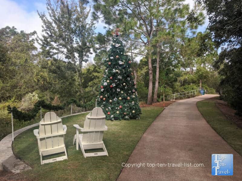 Florida Botanical Garden at Christmas