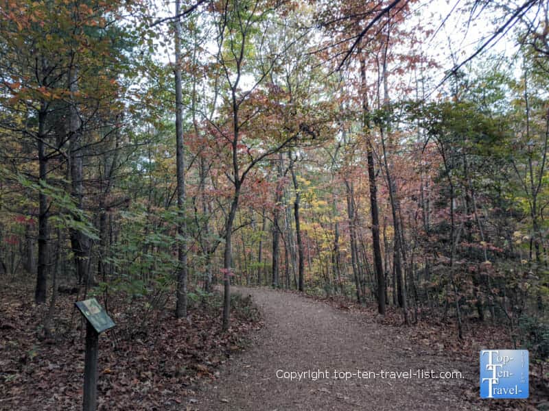 Autumn walk along the Natural Gardens trail at the North Carolina Arboretum in Asheville 