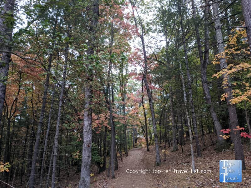 Pretty fall foliage along the Natural Gardens trail at the North Carolina Arboretum in Asheville