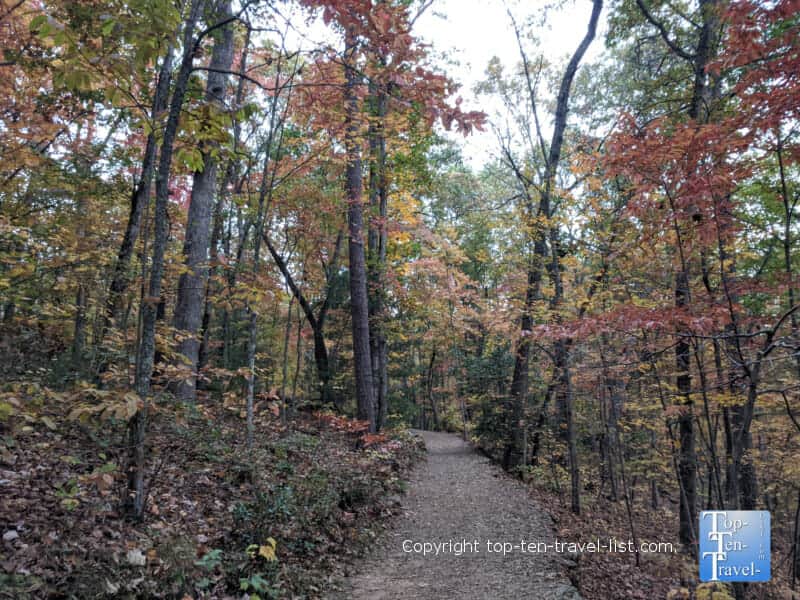 Fall colors lining the nature trail at the NC Arboretum 