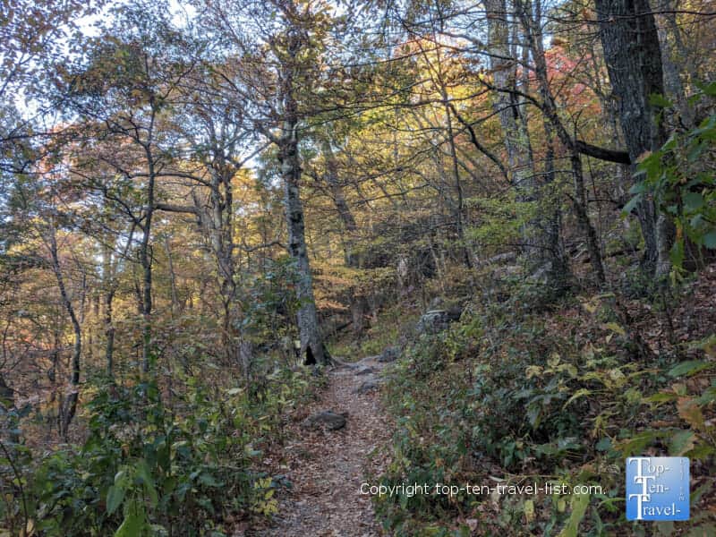 Fall foliage lining the Mount Pisgah trail on the Blue Ridge Parkway in North Carolina