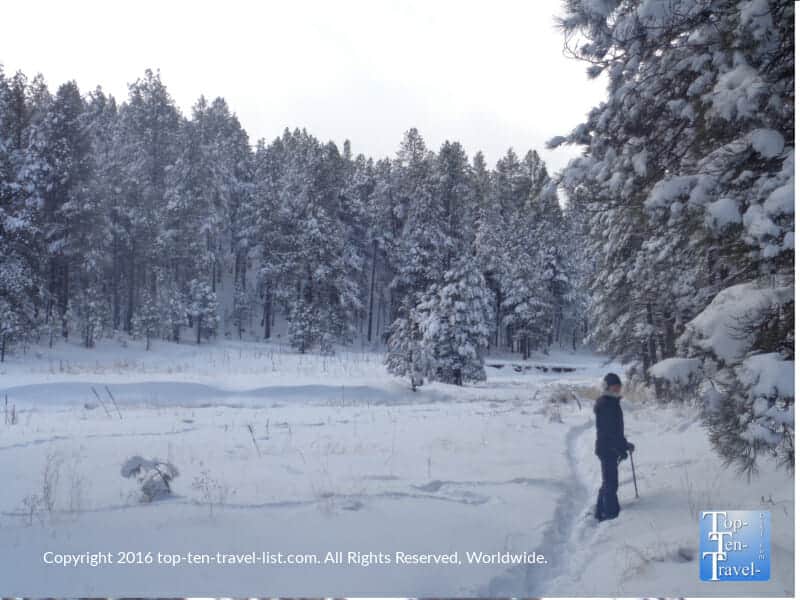 Snowshoeing in Kachina Village, Arizona