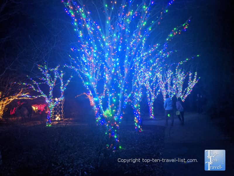 Colorful Christmas lights on the trees at the Daniel Stowe Botanical Garden in Charlotte