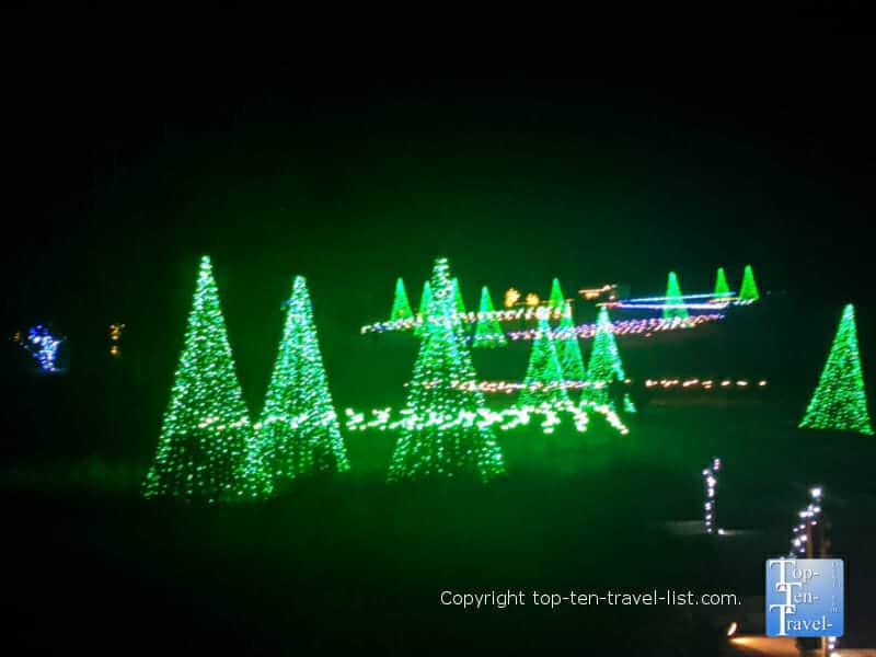 Mini green Christmas trees at the Daniel Stowe Botanical Garden in Charlotte