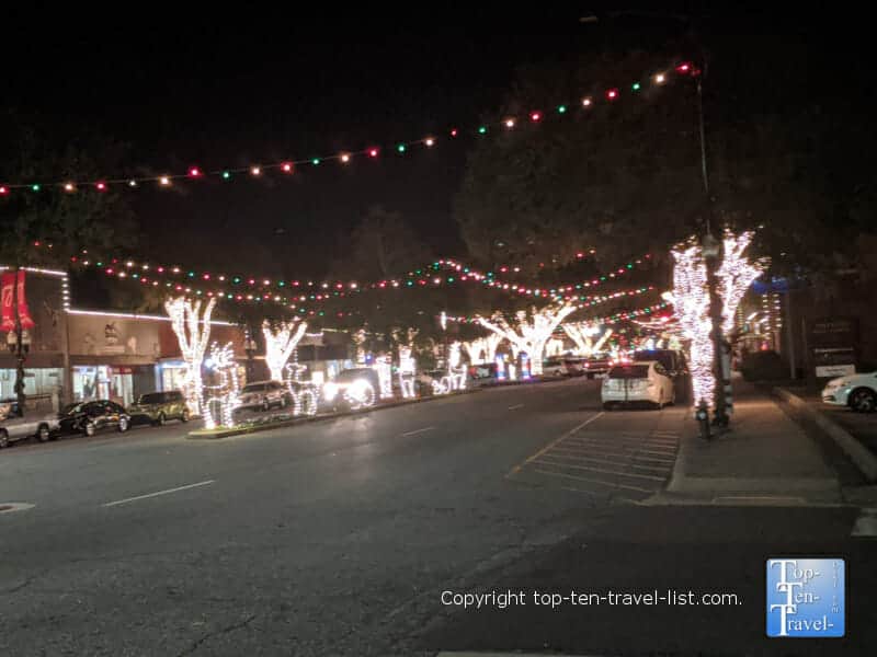 White lights on trees on Main Street in Forest City