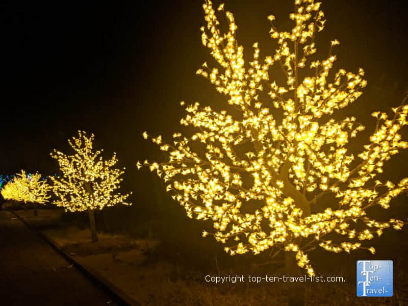 LED cherry trees at the Daniel Stowe Botanical Garden in Charlotte