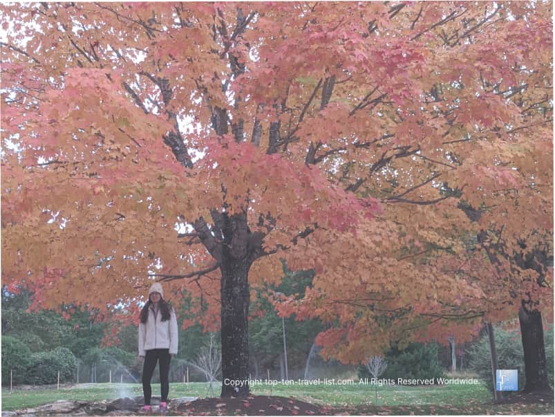North Carolina Arboretum in the fall season 