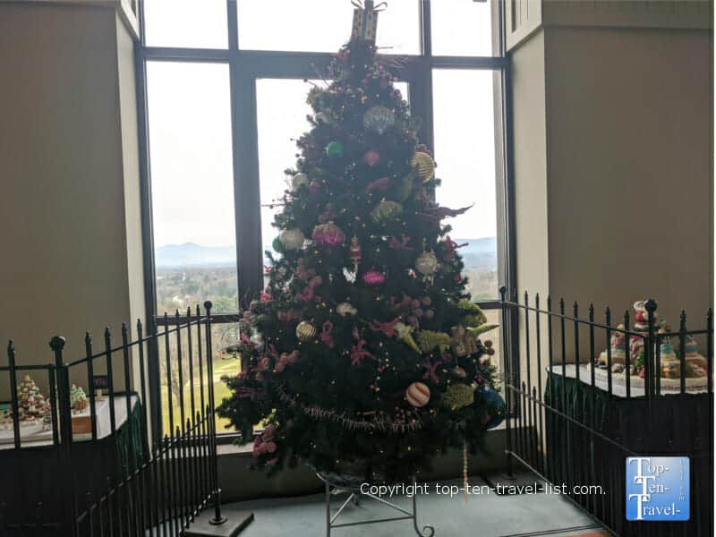 Tree by the window at the Omni Grove Park
