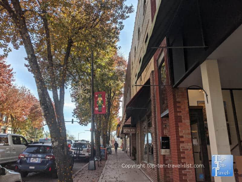 Tree-lined Main Street in Brevard, North Carolina