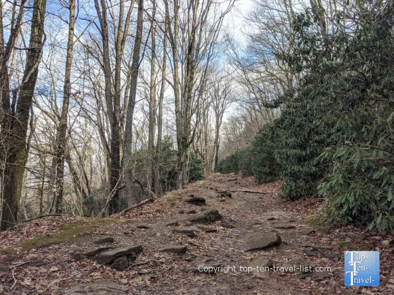 Beautiful hike along the Whiteside Mountain trail in Western North Carolina