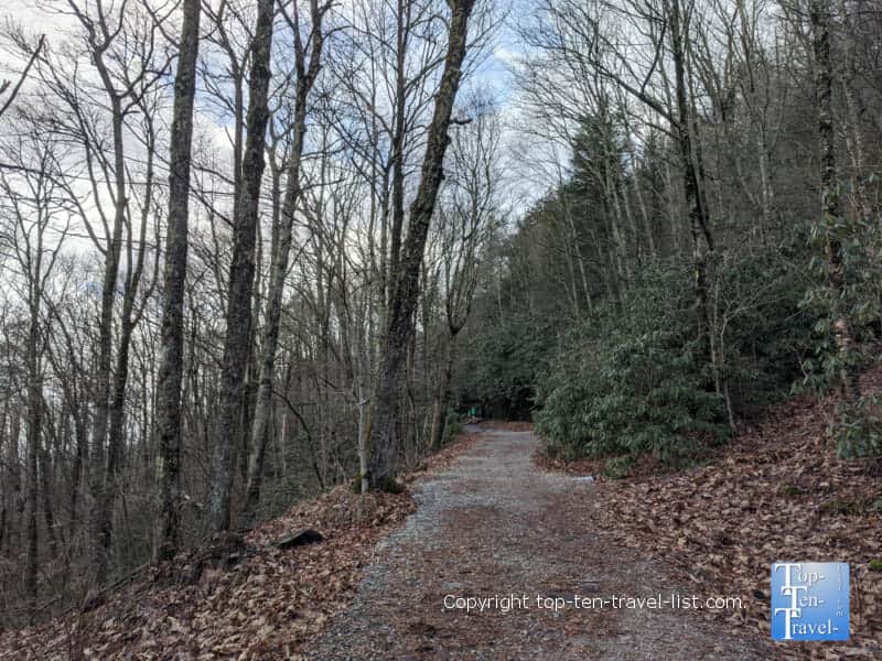 View of the Whiteside Mountain hiking trail in Western North Carolina