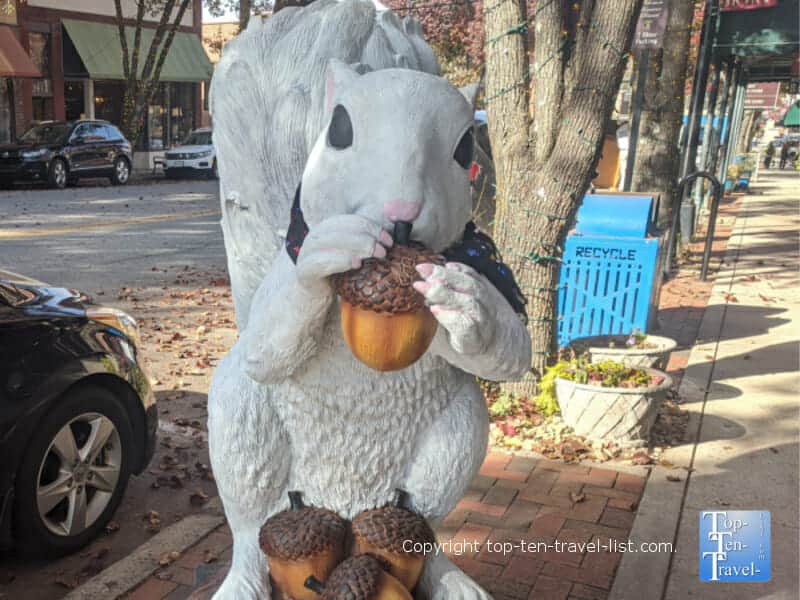 White Squirrel Shoppe on Main Street in Brevard, North Carolina