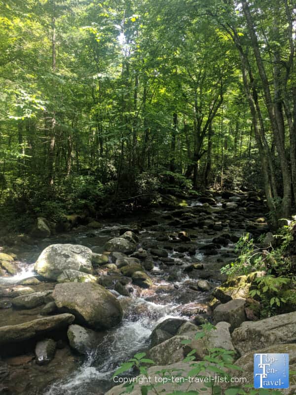 Roaring Fork Motor Nature trail in the Smoky Mountains 