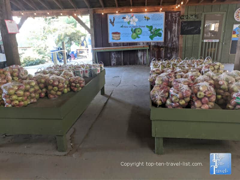Pre picked apples at Sky Top Orchard in Flat Rock, North Carolina