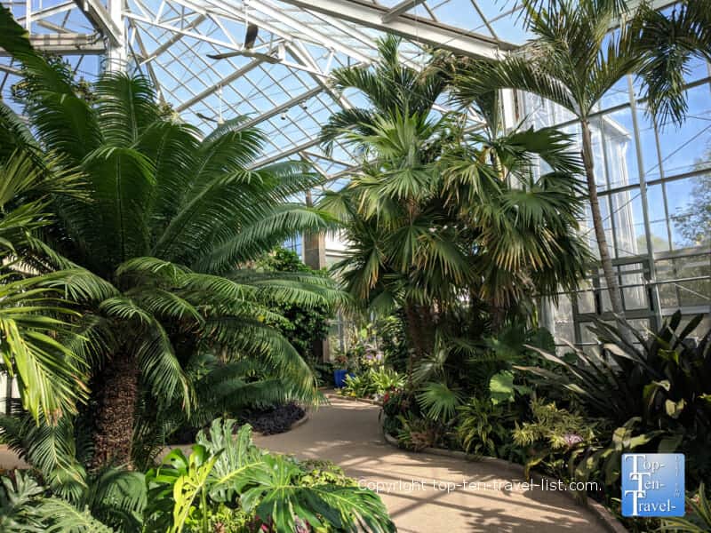 Tropical plants at the Daniel Stowe Botanical Garden in Charlotte, North Carolina