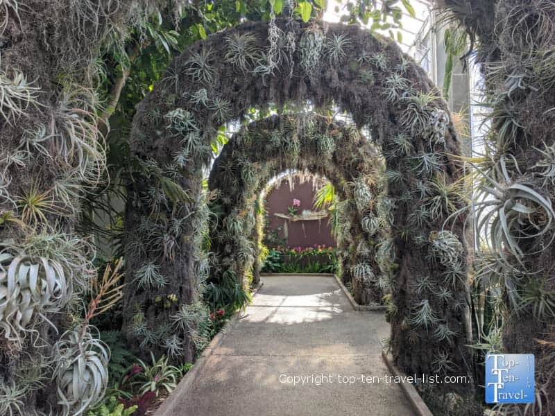 Topiary arch at the Daniel Stowe Botanical Garden in Charlotte, North Carolina