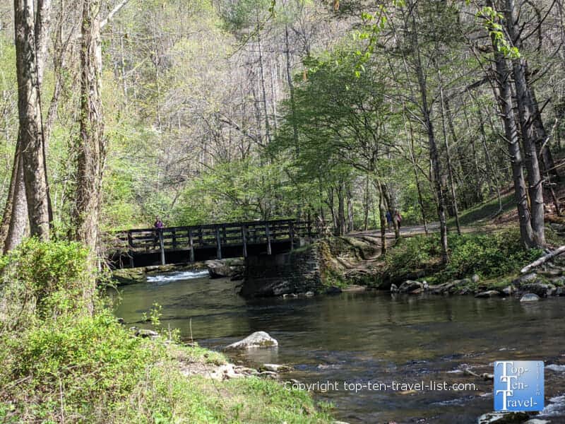 Gorgeous creek views along the Three Waterfalls Loop trail in the Great Smoky Mountains National Park 