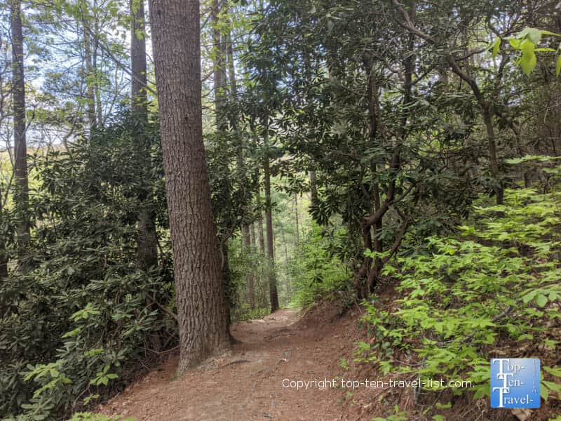 Serene Glen Falls trail in Highlands, NC