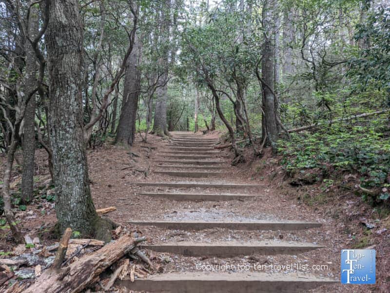 Steep staircase along the Glen Falls trail in Highlands, North Carolina