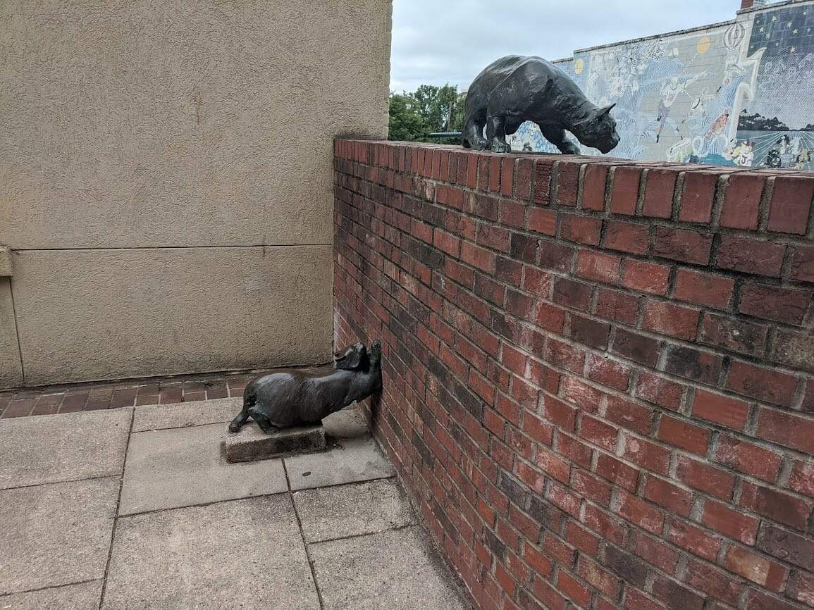 Cat wall on the Asheville Urban Trail