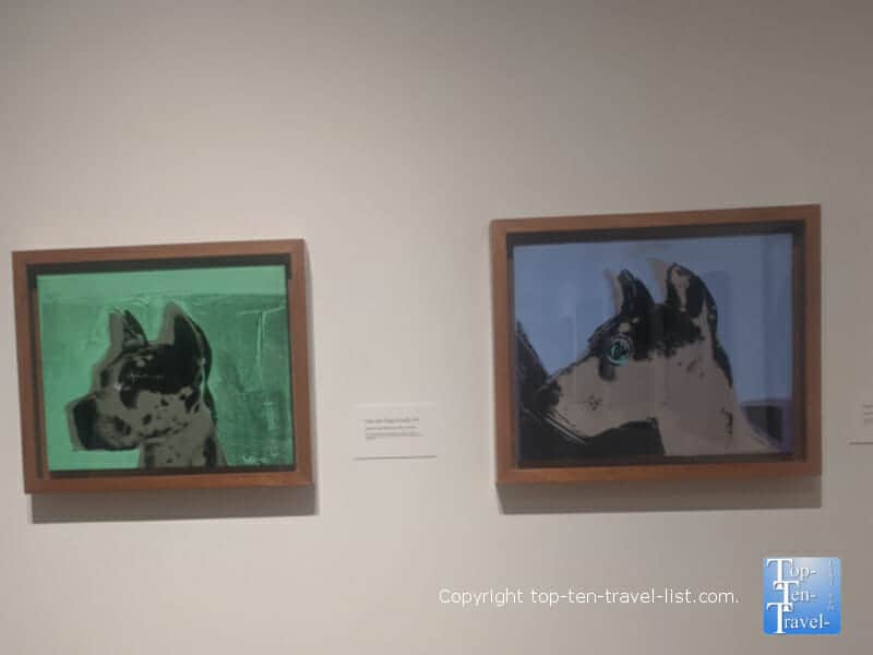 Dog portraits at the Andy Warhol Museum in Pittsburgh
