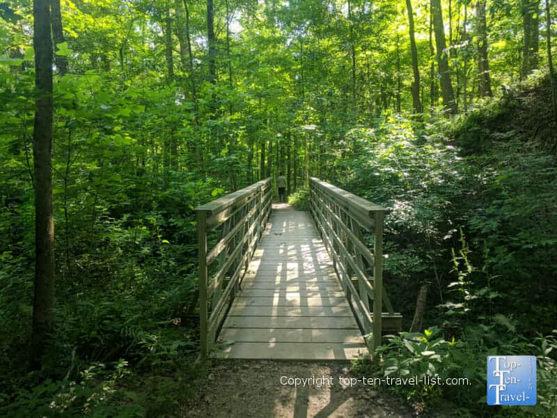 Lush greenery along the Stanford trail at Cuyahoga Valley National park in Ohio