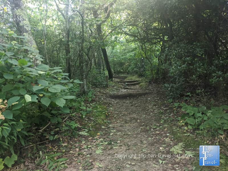 Mountains to Sea trail along the Blue Ridge Parkway in North Carolina 