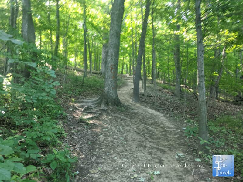 Forested views along the Stanford Trail to Brandywine Falls at Cuyahoga Valley NP