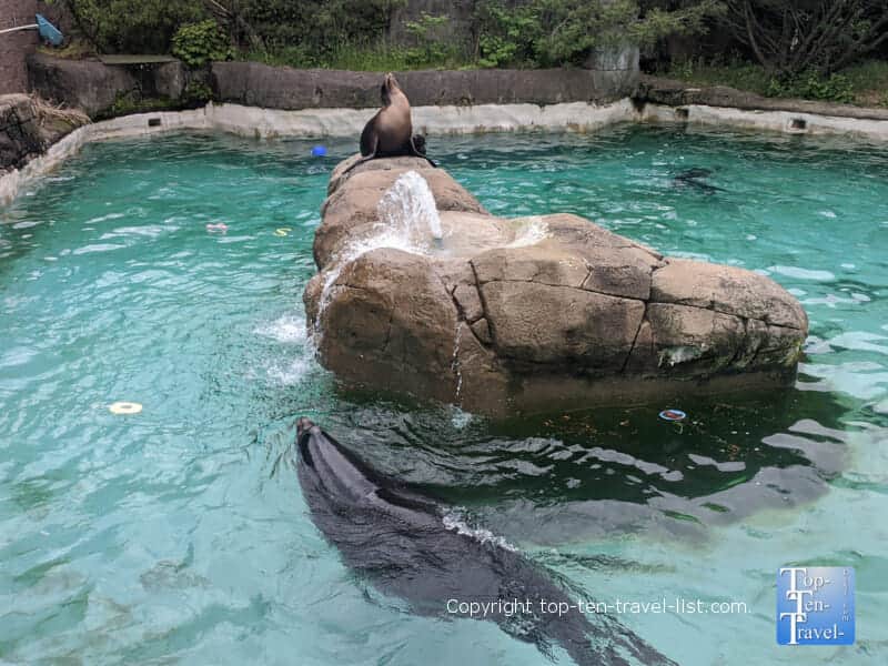 Water's Edge exhibit at The Pittsburgh Zoo