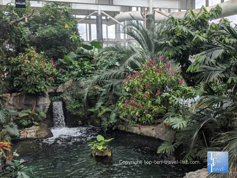 Waterfall and lush gardens at the PPG Aquarium in Pittsburgh