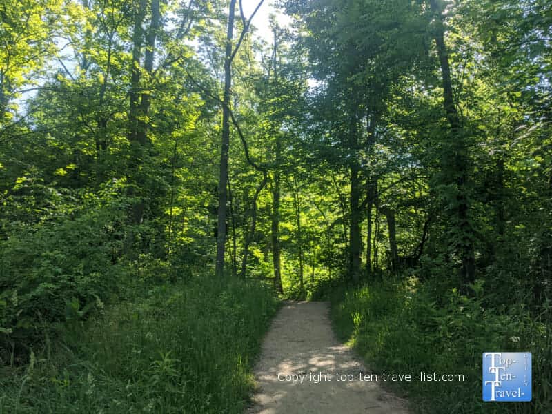 Beautiful greenery along the Stanford Trail at Cuyahoga Valley National Park in Ohio