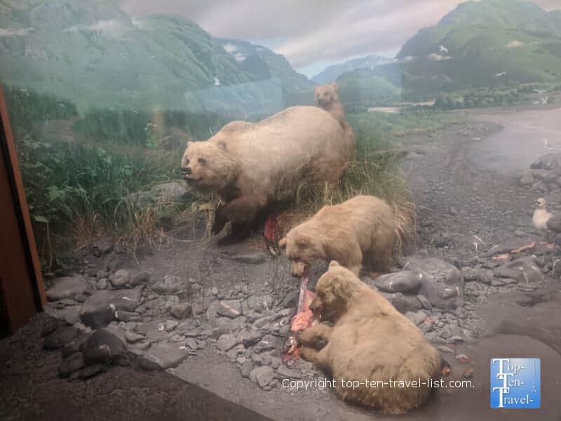 Diorama Hall of North American Wildlife at The Carnegie Museum of Natural History in Pittsburgh