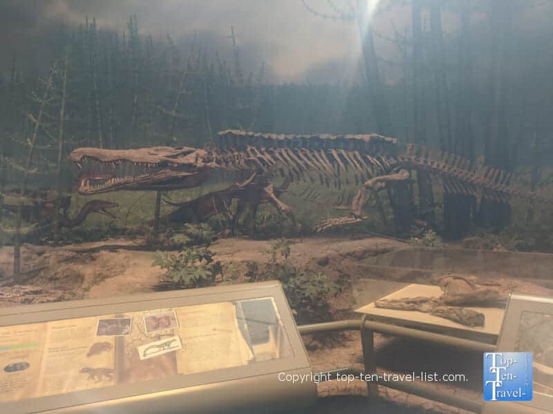 Dinosaur exhibit at The Carnegie Museum of Natural History in Pittsburgh