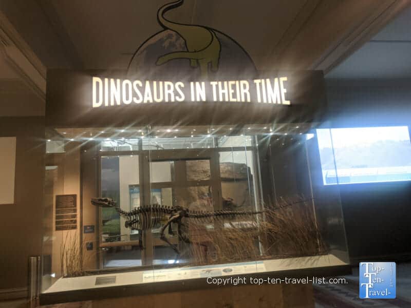 Dinosaur exhibit at The Carnegie Museum of Natural History in Pittsburgh