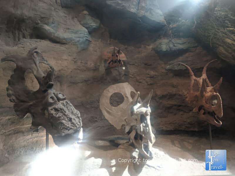 Dinosaur exhibit at The Carnegie Museum of Natural History in Pittsburgh