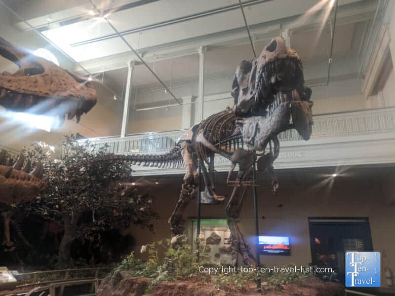 Dinosaur exhibit at The Carnegie Museum of Natural History in Pittsburgh
