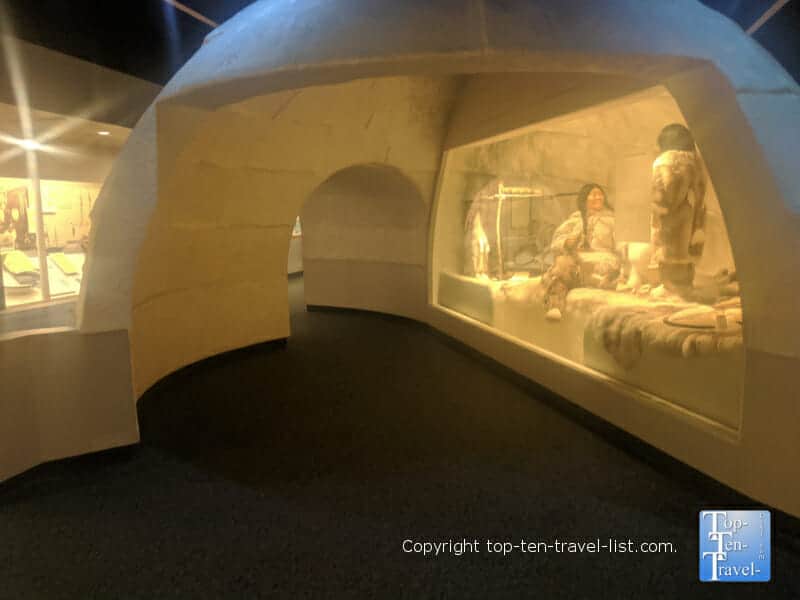 Igloo replication at Hall of Arctic Life at The Carnegie Museum of Natural History in Pittsburgh