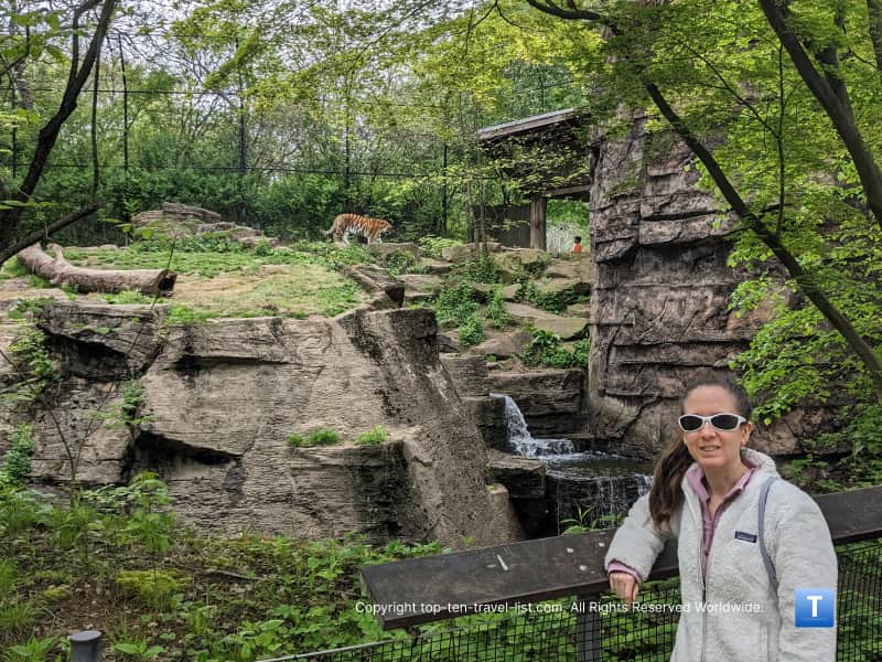 Tiger exhibit waterfall at the Pittsburgh Zoo