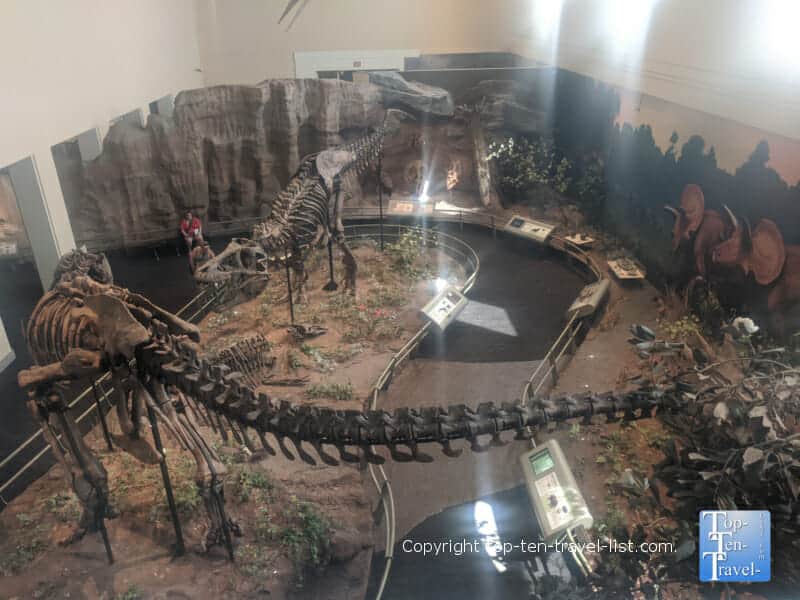 Dinosaur exhibit at The Carnegie Museum of Natural History in Pittsburgh
