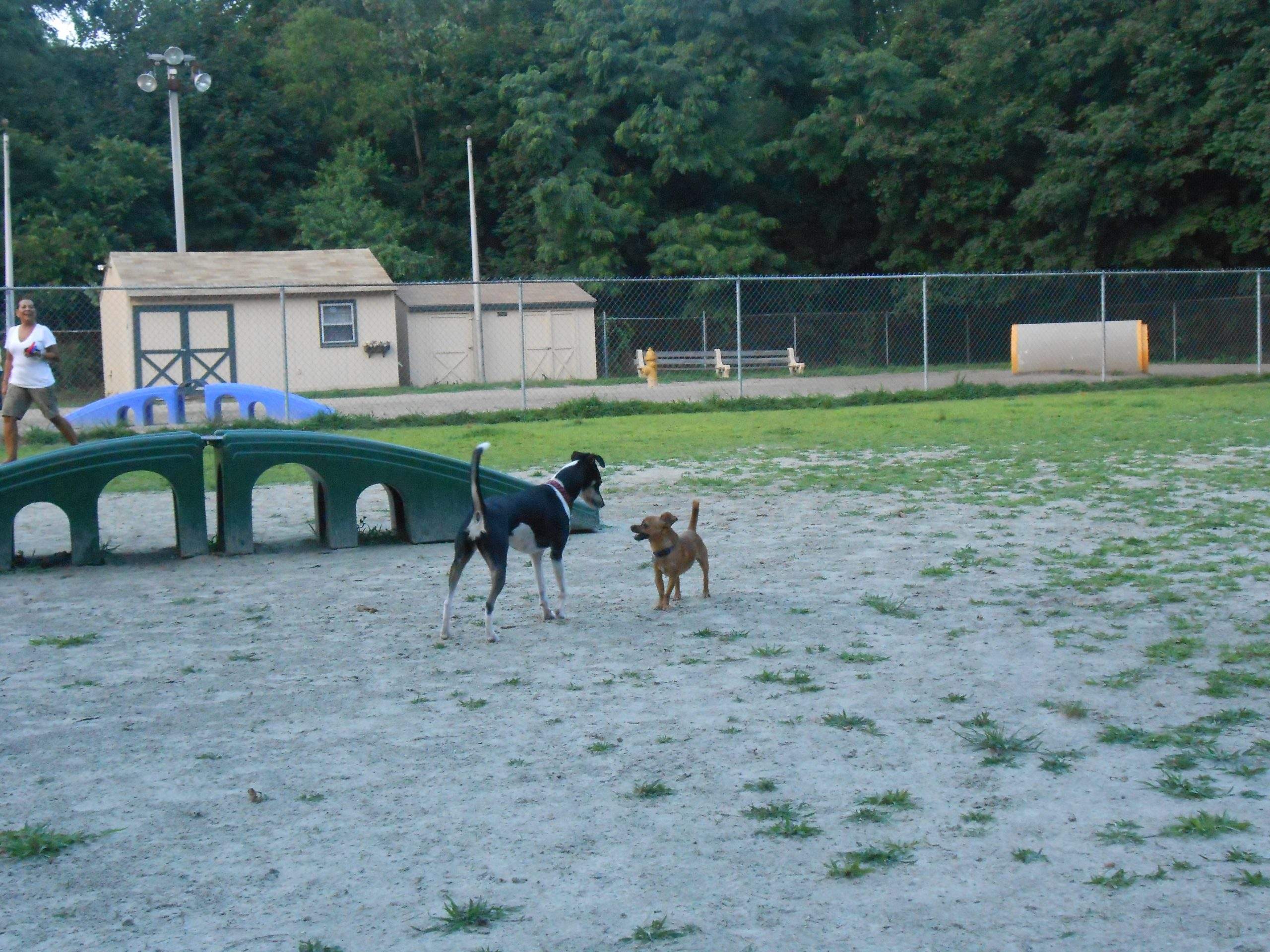 Dog park in Pawtucket
