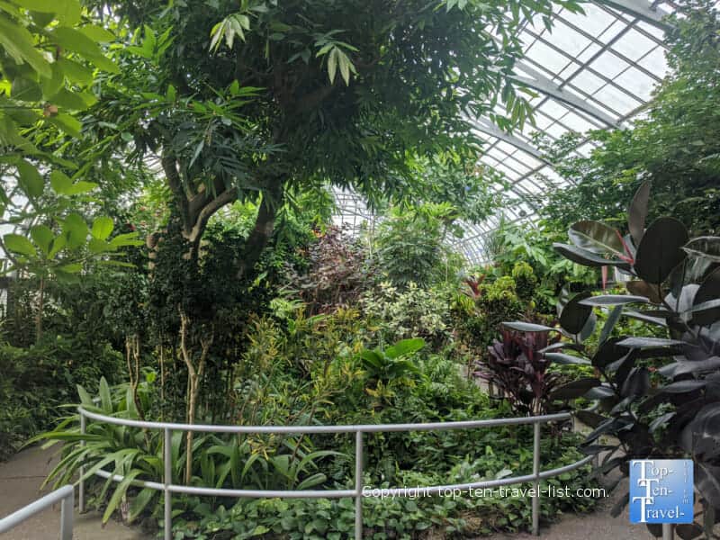 Tropical gardens at Krohn Conservatory in Cincinnati