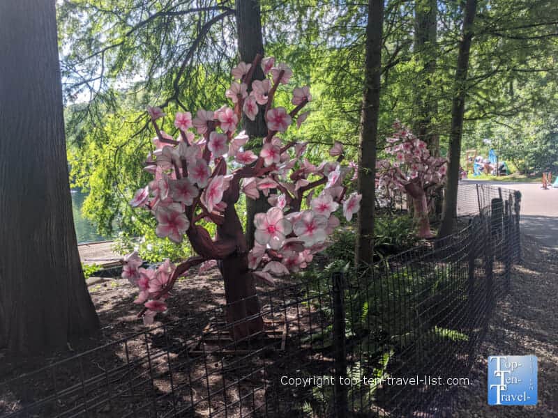 Asian Lantern festival at the Cleveland Metroparks Zoo